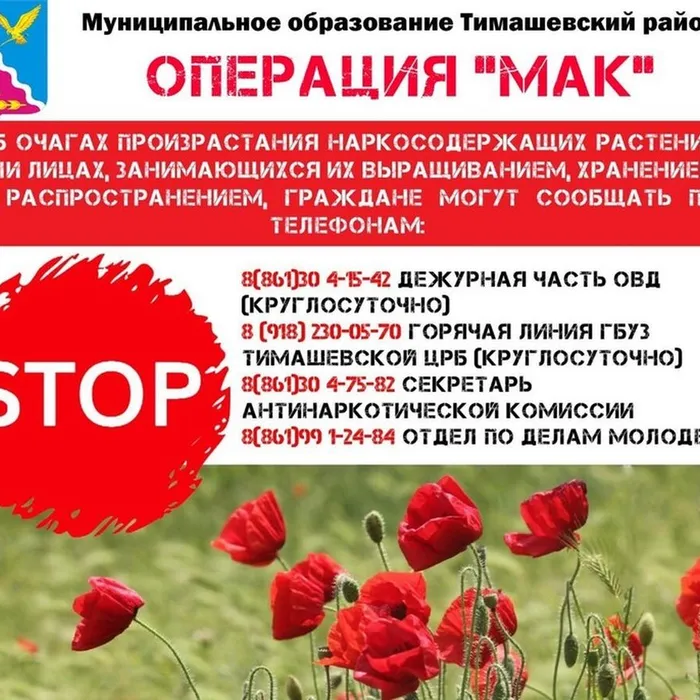 2 этап оперативно-профилактической операции «Мак-2023»