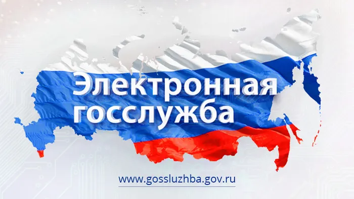 elketronnaya_gossluzhba